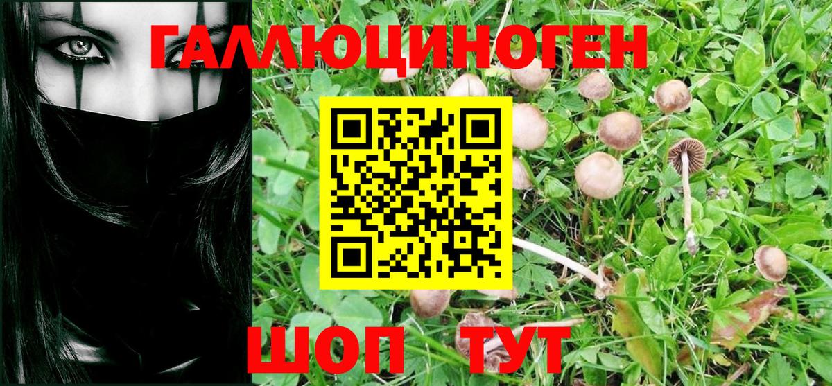 Псилоцибиновые грибы MAGIC MUSHROOMS  где купить наркоту  Волоколамск  Вход с VPN 